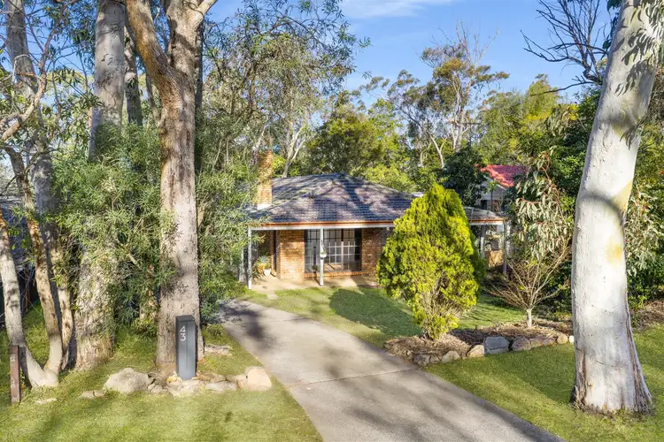 Main view of Homely house listing, 43 Orient Street, Willow Vale NSW 2575