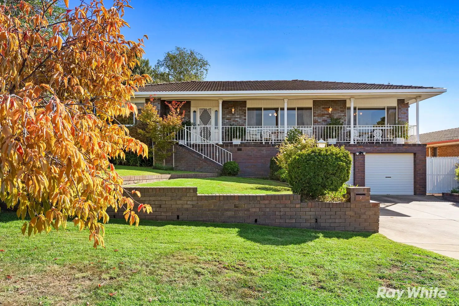 Main view of Homely house listing, 7 Henwood Avenue, Kooringal NSW 2650