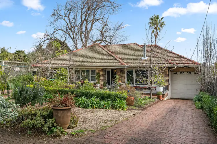 3 Edgcumbe Terrace, Rosslyn Park SA 5072