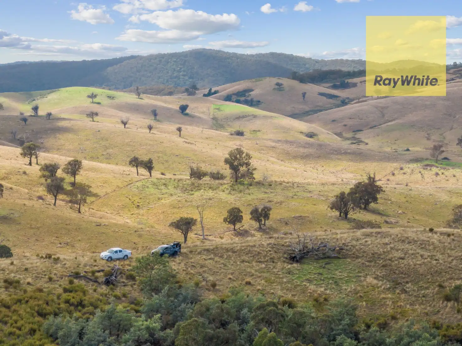 Main view of Homely rural property listing, 1013 Bigga Road, Crooked Corner NSW 2583