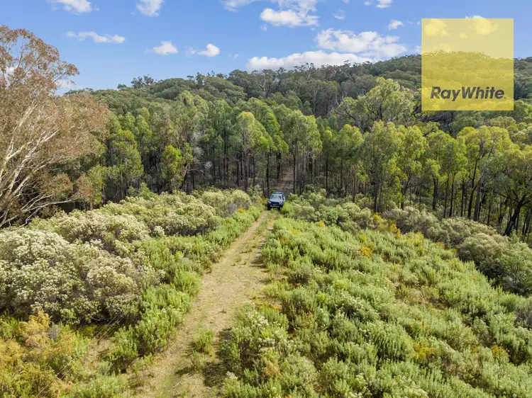 Third view of Homely rural property listing, 1013 Bigga Road, Crooked Corner NSW 2583