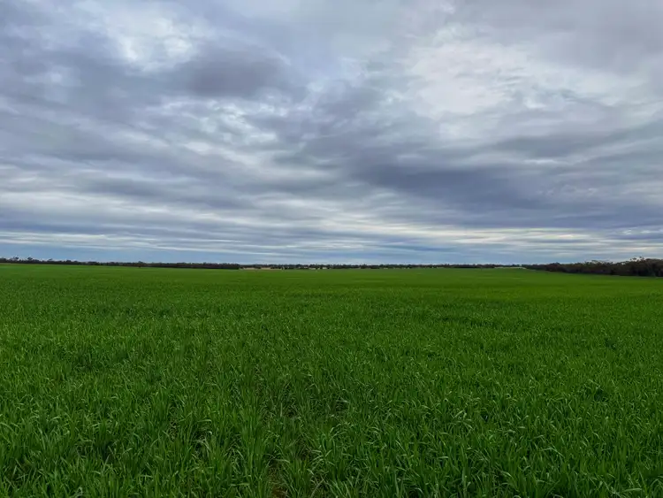 Sixth view of Homely rural property listing, 4719 Tabratong Crossing Road, Tottenham NSW 2873