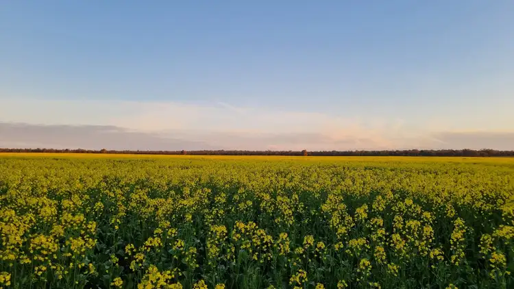 Seventh view of Homely rural property listing, 4719 Tabratong Crossing Road, Tottenham NSW 2873