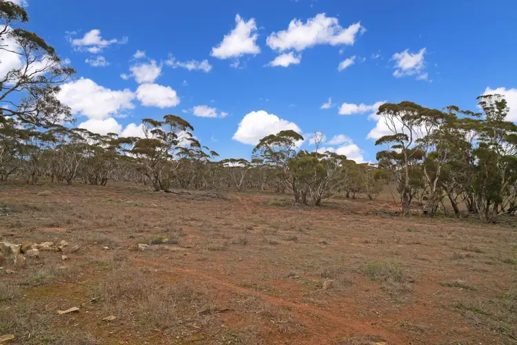 Sixth view of Homely land listing, Lot 39 Brownlow Road, Brownlow SA 5374