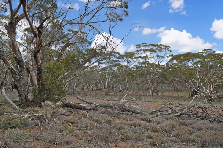 Seventh view of Homely land listing, Lot 39 Brownlow Road, Brownlow SA 5374