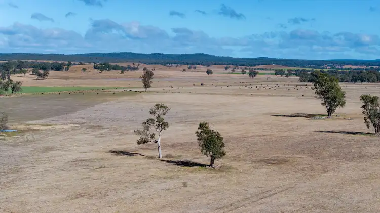 Third view of Homely rural property listing, 5759 Purlewaugh Road, Tambar Springs NSW 2381