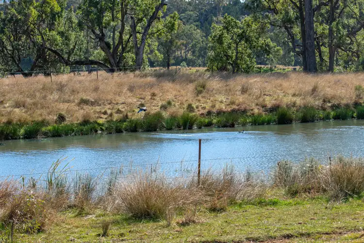 Fourth view of Homely rural property listing, 5759 Purlewaugh Road, Tambar Springs NSW 2381