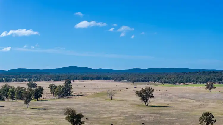 Fifth view of Homely rural property listing, 5759 Purlewaugh Road, Tambar Springs NSW 2381