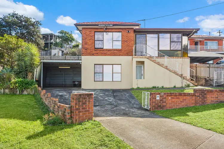 29 Moore Place, Warrawong NSW 2502