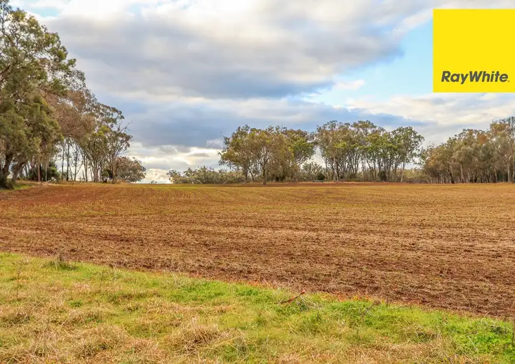 Fourth view of Homely rural property listing, Lot 345-348 Old Bundarra Road, Inverell NSW 2360
