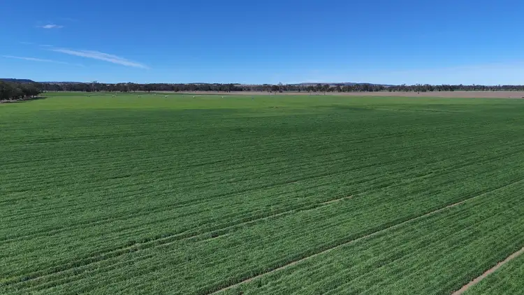 Third view of Homely rural property listing, Address available on request