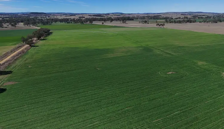 Fourth view of Homely rural property listing, Address available on request