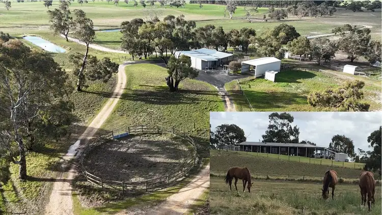 2773 Naracoorte Road, Bordertown SA 5268