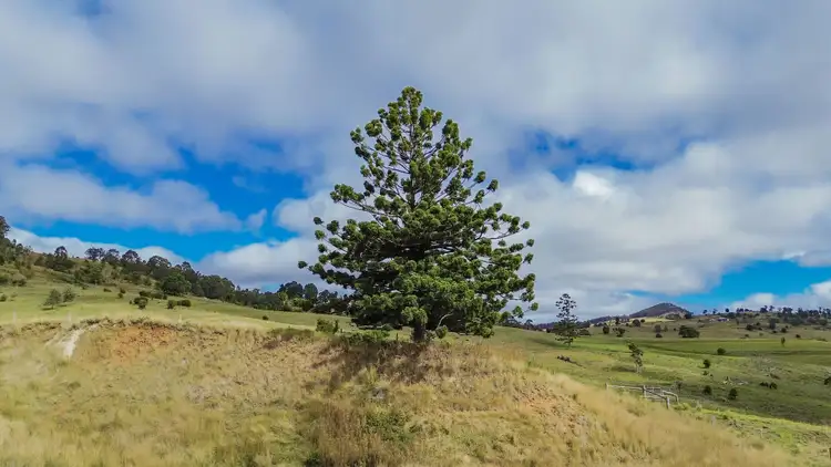 Second view of Homely land listing, 88 Spring Creek Road, Killarney QLD 4373