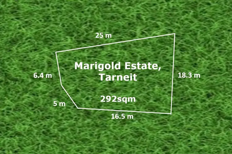 60 Petunia Avenue, Tarneit VIC 3029