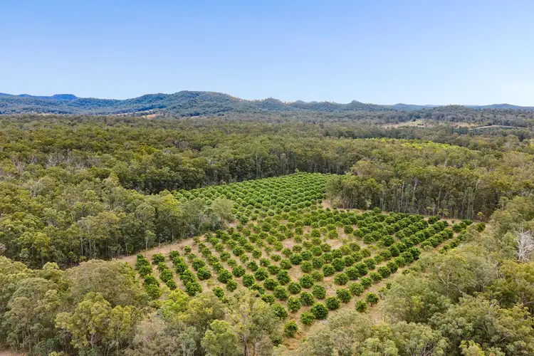 Third view of Homely rural property listing, 1331 Gatton Esk Road, Spring Creek QLD 4343