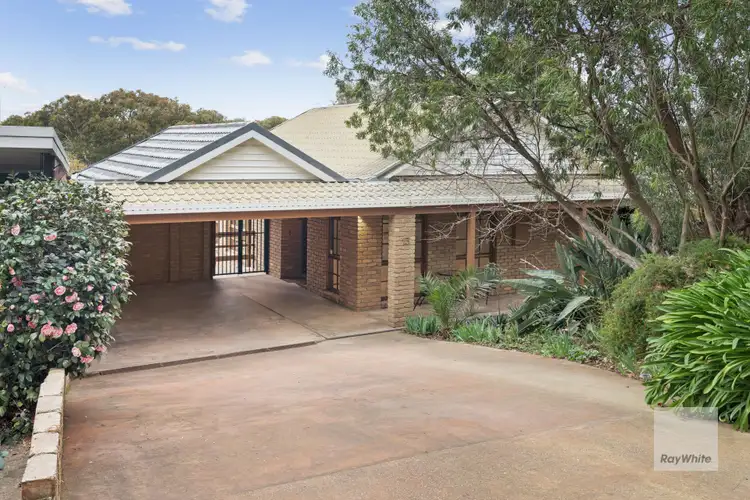 Main view of Homely house listing, 13 Cleve Road, Pascoe Vale South VIC 3044