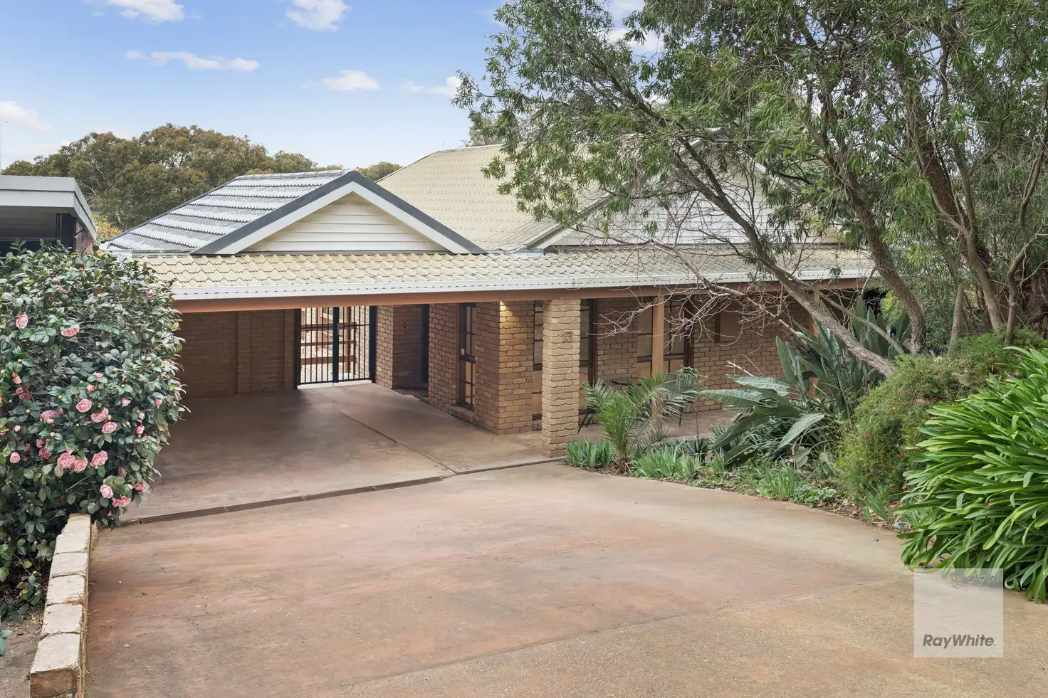 Main view of Homely house listing, 13 Cleve Road, Pascoe Vale South VIC 3044
