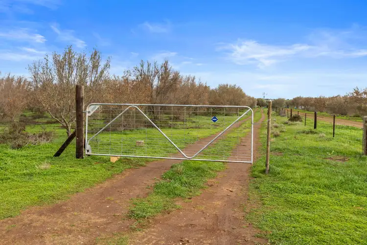 Sixth view of Homely land listing, 477 Freebairn Estate Road, Owen SA 5460