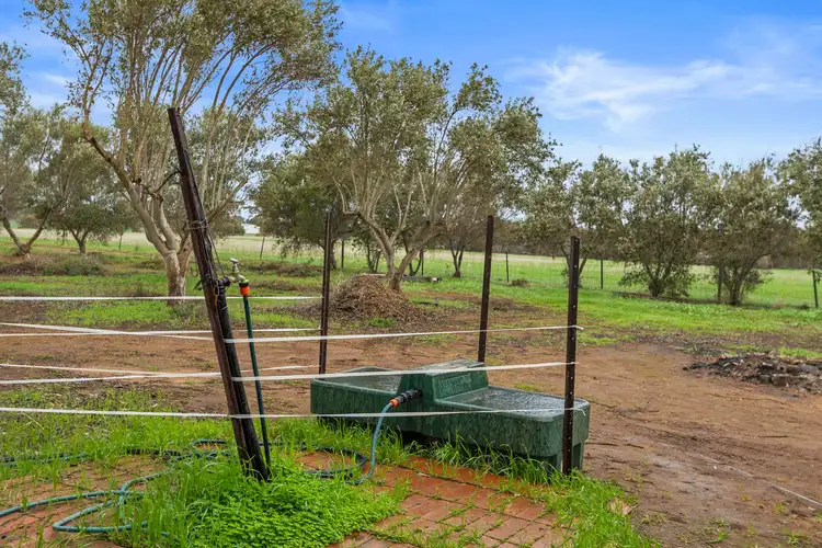 Seventh view of Homely land listing, 477 Freebairn Estate Road, Owen SA 5460