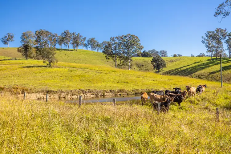 Second view of Homely rural property listing, 702 Wallanbah Road, Wallanbah NSW 2422