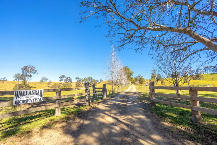 Third view of Homely rural property listing, 702 Wallanbah Road, Wallanbah NSW 2422