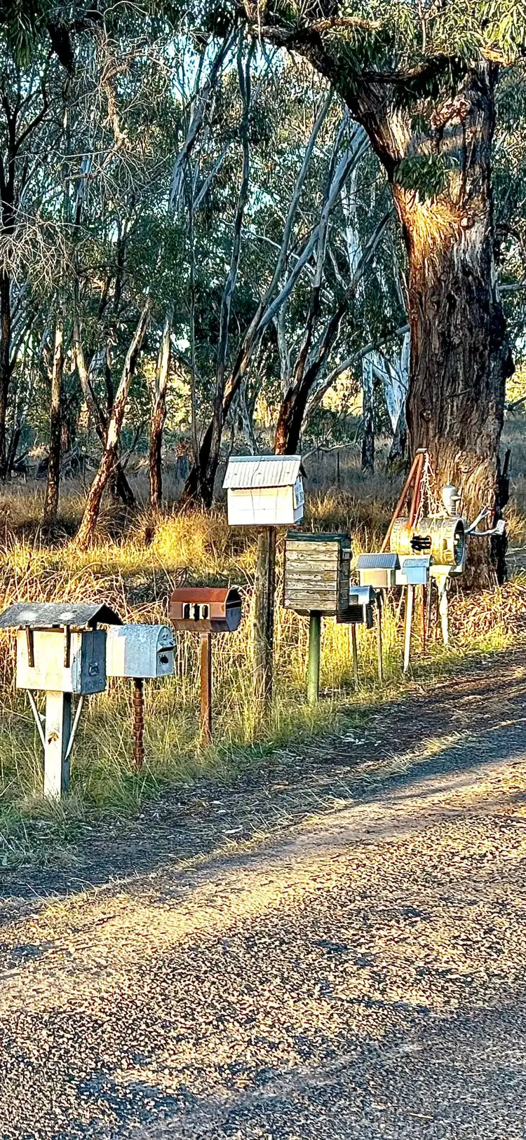 Fourth view of Homely rural property listing, 37 Werribee Road, Tambar Springs NSW 2381