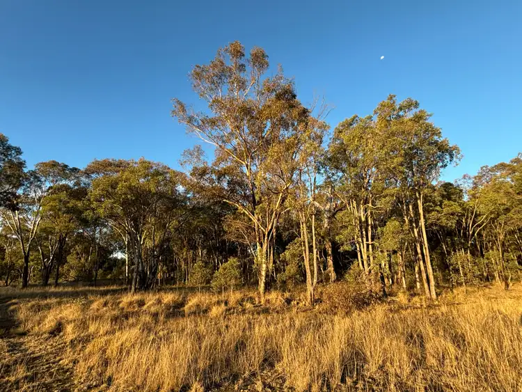 Seventh view of Homely rural property listing, 37 Werribee Road, Tambar Springs NSW 2381