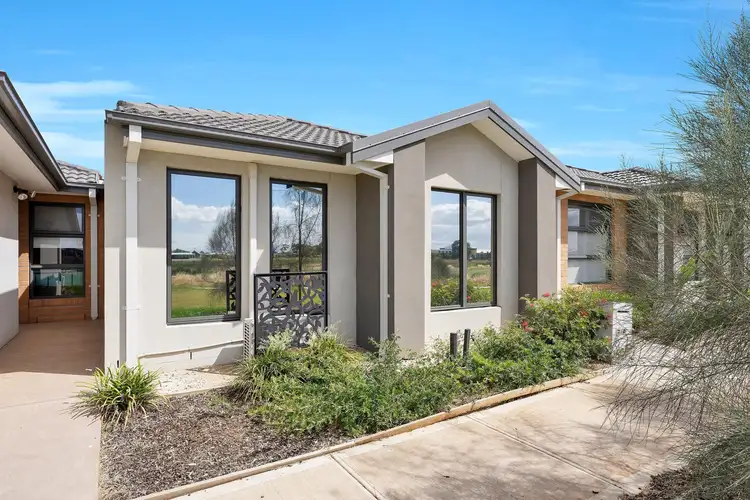 5 Amberfish Walk, Tarneit VIC 3029