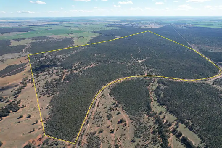 Third view of Homely rural property listing, 4546 The Bogan Way, Tottenham NSW 2873