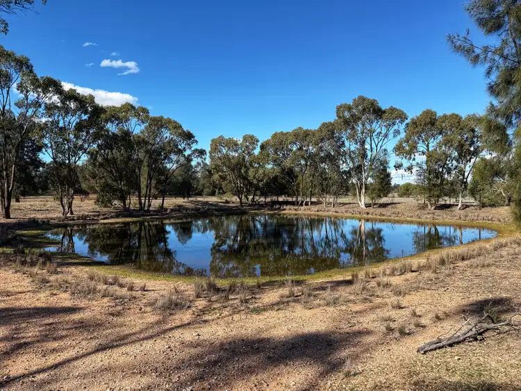 Fourth view of Homely rural property listing, 4546 The Bogan Way, Tottenham NSW 2873