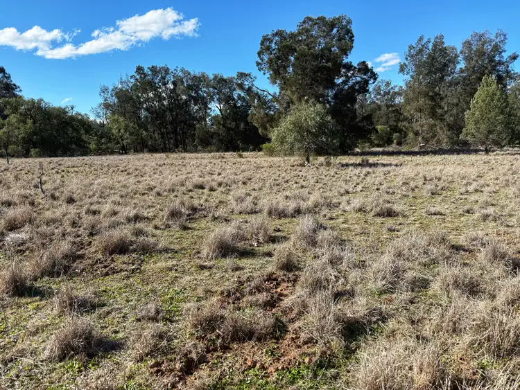 Sixth view of Homely rural property listing, 4546 The Bogan Way, Tottenham NSW 2873