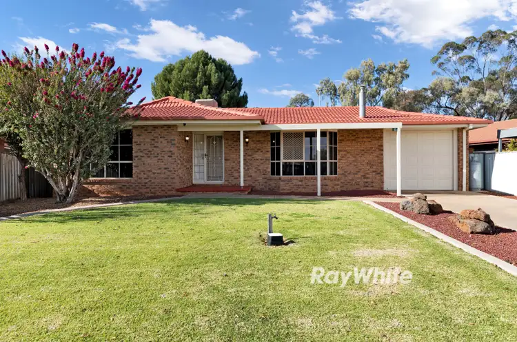 13 Wilkie Drive, Irymple VIC 3498