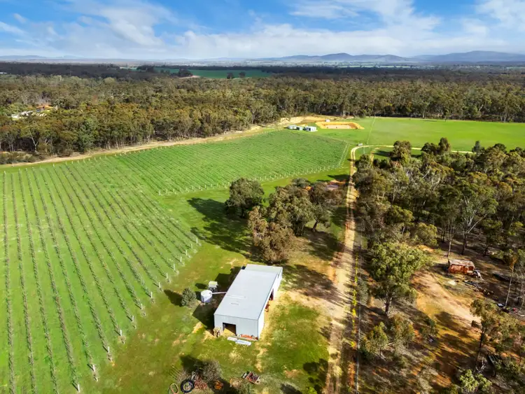 20 Morris Lane, Avoca VIC 3467