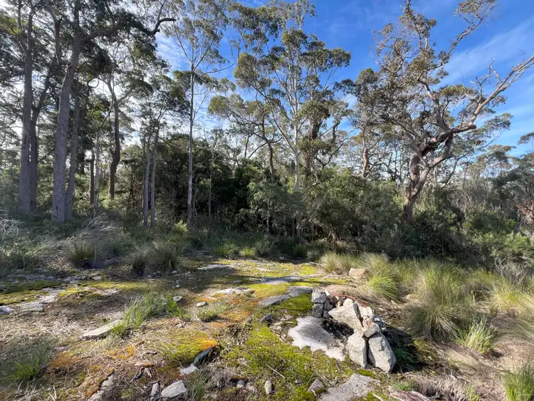 Fourth view of Homely rural property listing, 51 Pittam Way, Shadforth WA 6333