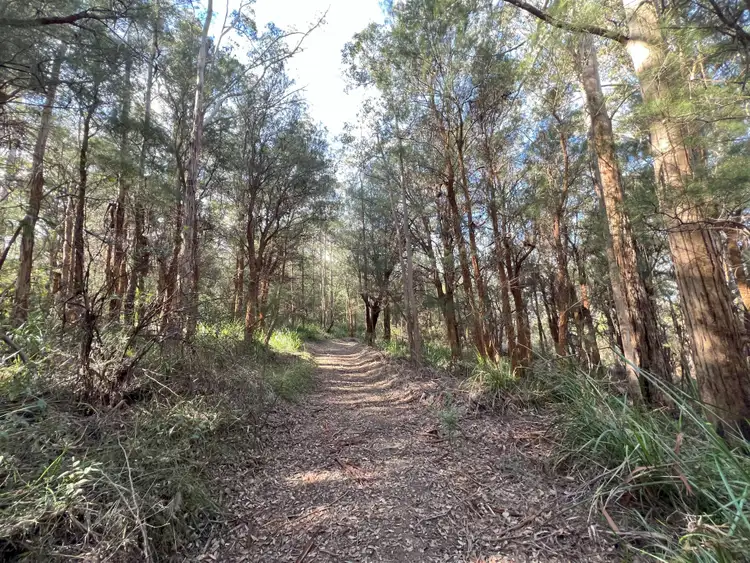 Sixth view of Homely rural property listing, 51 Pittam Way, Shadforth WA 6333