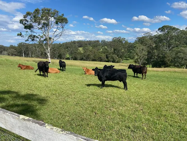 72 Bells Lane, Kurmond NSW 2757