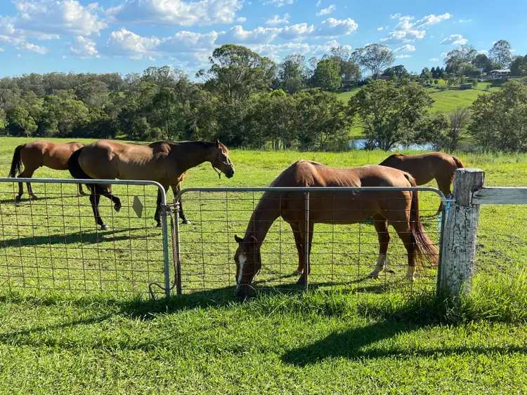 Fifth view of Homely rural property listing, 72 Bells Lane, Kurmond NSW 2757