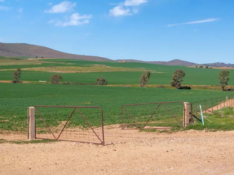 Second view of Homely rural property listing, Sanders Aggregation Nicholls Road, Booleroo Centre SA 5482