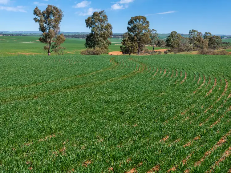Fifth view of Homely rural property listing, Sanders Aggregation Nicholls Road, Booleroo Centre SA 5482