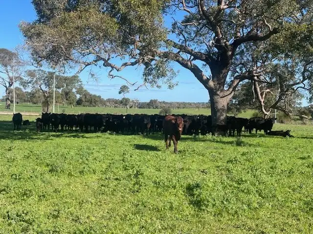 Second view of Homely rural property listing, 1770 Beermullah Road West, Wanerie WA 6503