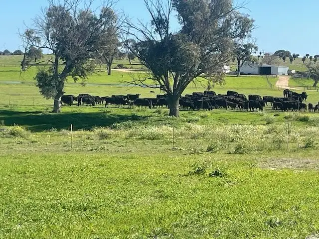Third view of Homely rural property listing, 1770 Beermullah Road West, Wanerie WA 6503