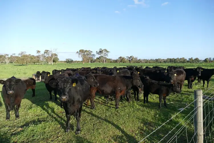 Fourth view of Homely rural property listing, 1770 Beermullah Road West, Wanerie WA 6503
