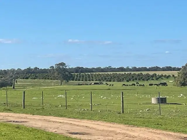 Fifth view of Homely rural property listing, 1770 Beermullah Road West, Wanerie WA 6503