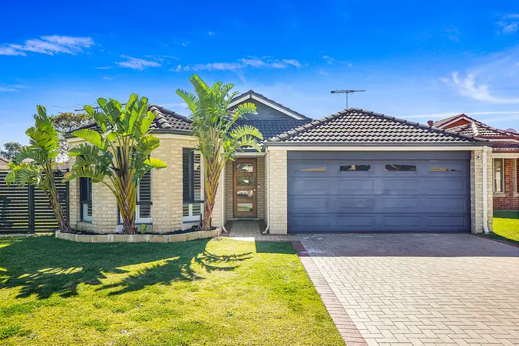 3 Brolo Court, Stirling WA 6021