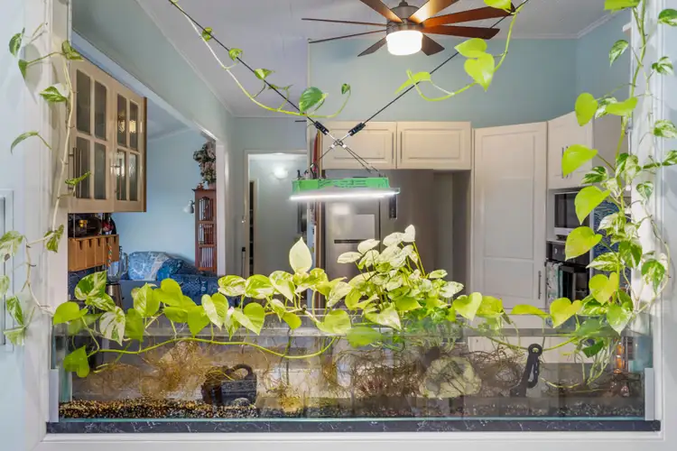 Sixth view of Homely rural property listing, 6 Point Piper Close, Laidley Heights QLD 4341