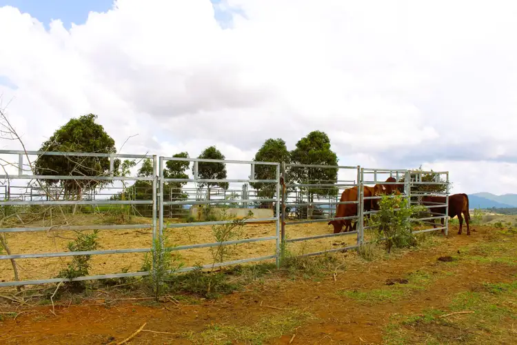 Fourth view of Homely rural property listing, Lot 8/82 Kellys Road, Bracewell QLD 4695