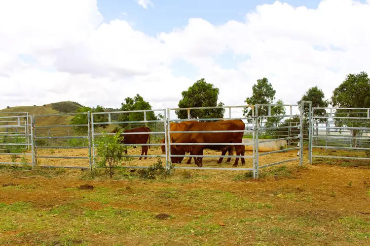 Fifth view of Homely rural property listing, Lot 8/82 Kellys Road, Bracewell QLD 4695