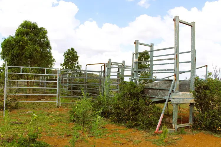 Sixth view of Homely rural property listing, Lot 8/82 Kellys Road, Bracewell QLD 4695