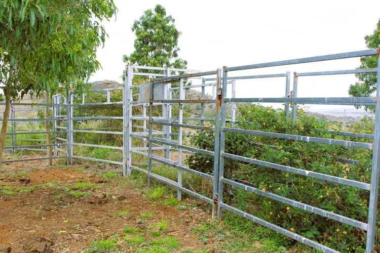 Seventh view of Homely rural property listing, Lot 8/82 Kellys Road, Bracewell QLD 4695